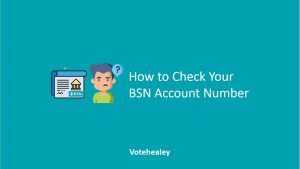 How to Check Your BSN Account Number